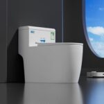 Modern Siphonic Toilet - Big Flush & Water Saving