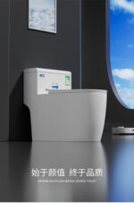 Modern Siphonic Toilet - Big Flush & Water Saving