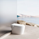 Top-of-the-line fully automatic smart toilet