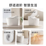 Smart Intelligent Toilet with Aromatherapy Deodorizing | Odor-Free & Comfortable Bathroom Experience - 图片 6
