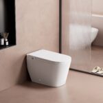 Top-of-the-line fully automatic smart toilet