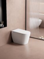 Top-of-the-line fully automatic smart toilet