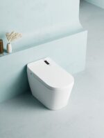 Top-of-the-line fully automatic smart toilet - 图片 5