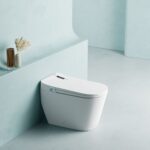 Top-of-the-line fully automatic smart toilet