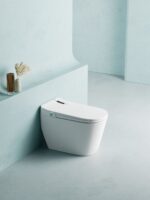 Top-of-the-line fully automatic smart toilet
