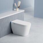Top-of-the-line fully automatic smart toilet