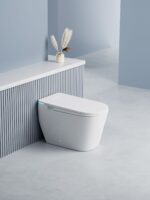 Top-of-the-line fully automatic smart toilet